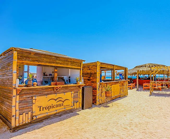 The Tropicana Bar at Paradise Island, a timber counter under a thatched roof with sun shades beyond.